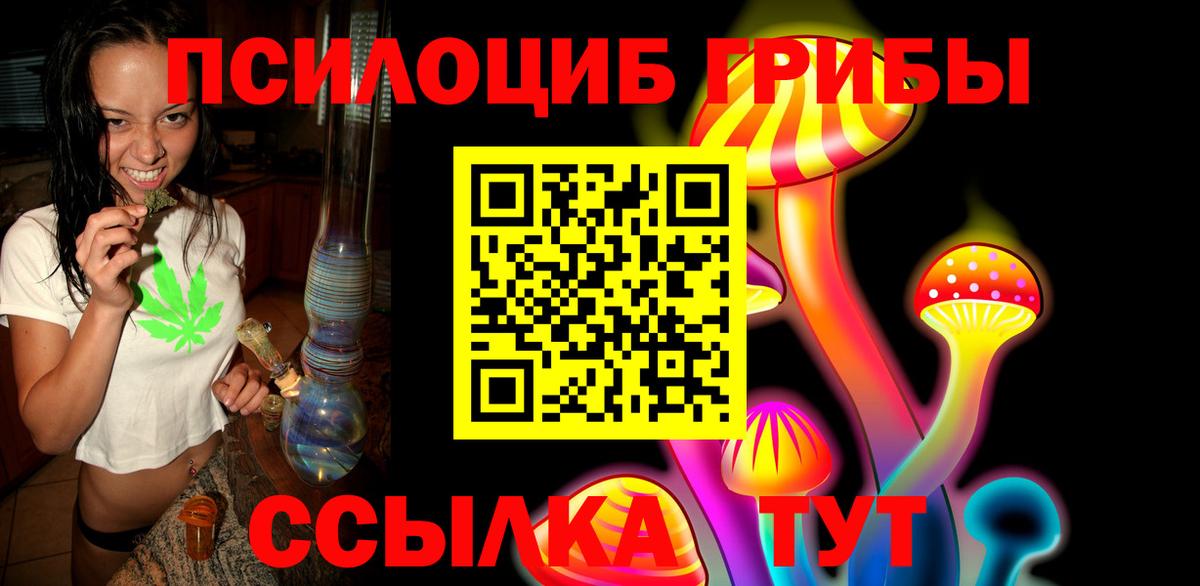 Димитровград  Галлюциногенные грибы MAGIC MUSHROOMS  Вход с VPN 